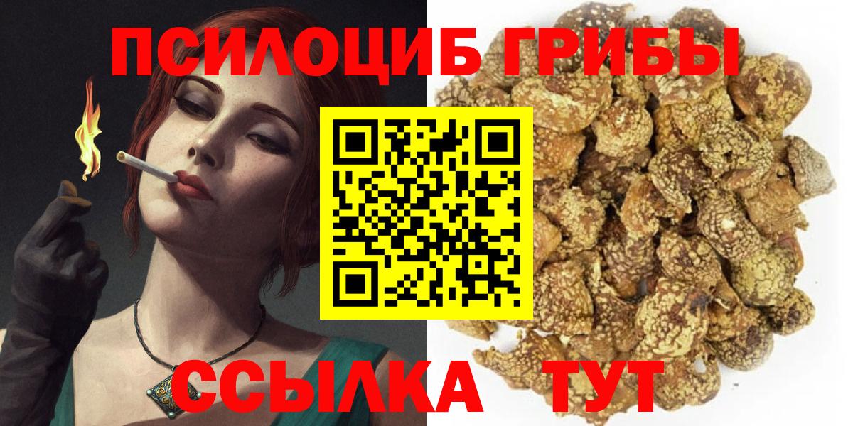 Галлюциногенные грибы MAGIC MUSHROOMS  Вход с VPN  Калининград 