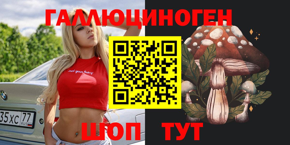 Псилоцибиновые грибы GOLDEN TEACHER Калининград